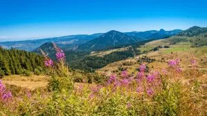Où aller en montagne l'été en France ?