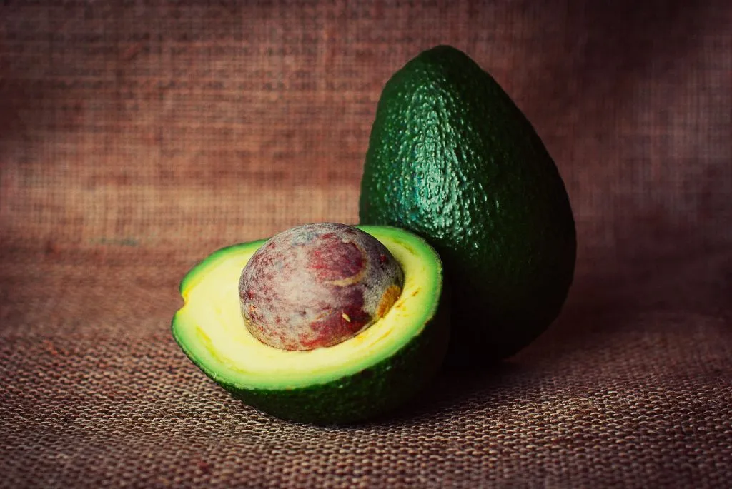 Quelle_est_la_partie_la_plus_nutritive_d_un_avocat_? Quelle_est_la_partie_la_plus_nutritive_d_un_avocat_?