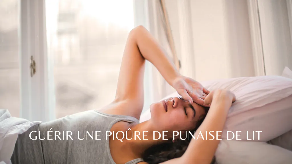 Tu préfères Le jeu à asbolument tester entre amis (11) Tu préfères Le jeu à asbolument tester entre amis (11)