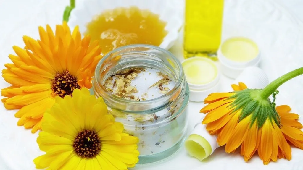 Pommade_de_guérison_:_une_recette_de_pommade_maison_à_l_eucalyptus_et_à_la_camomille Pommade_de_guérison_:_une_recette_de_pommade_maison_à_l_eucalyptus_et_à_la_camomille