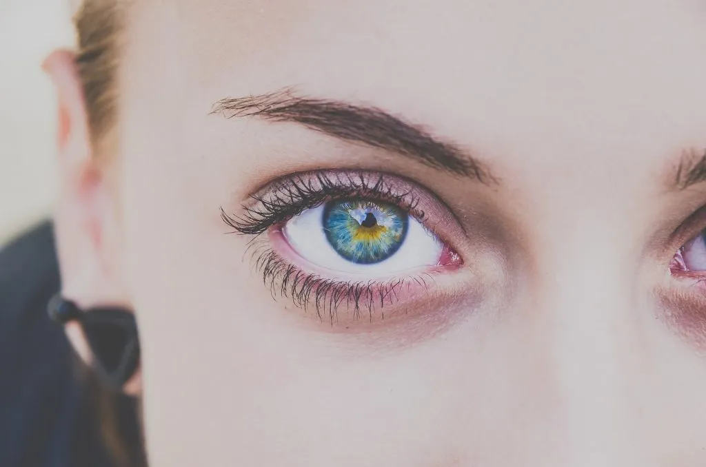 La_beauté_et_le_sourcil La_beauté_et_le_sourcil