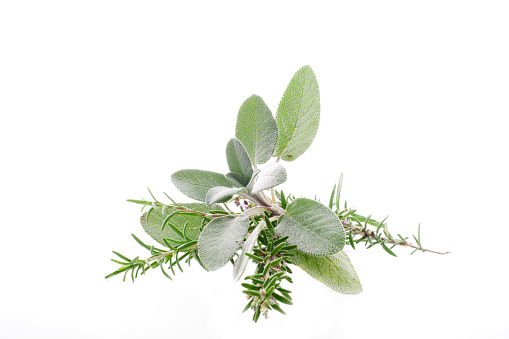 Rosemary flower and sauger