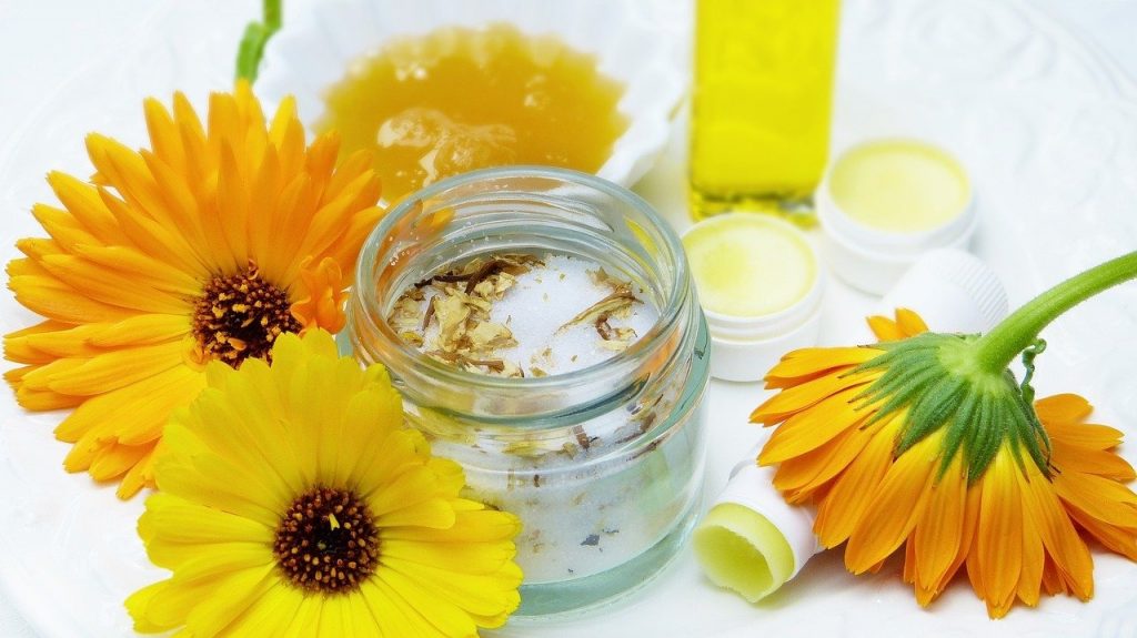 Pommade_de_guérison_:_une_recette_de_pommade_maison_à_l_eucalyptus_et_à_la_camomille